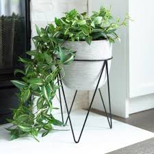 The case study planter is a nod back to pottery design in the early 50's, with clean lines, simplicity, and a fresh, modern look. Flora Bunda 12 5 In H Gray Cement Concrete Planter On Metal Stand Mid Century Planter Em1745e Gy The Home Depot