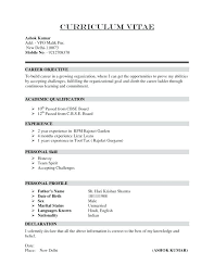 Resume Format Professional Curriculum Vitae Samples Newest Depiction