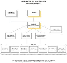 Organizational Chart About Us Audit Risk And Advisory