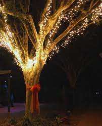 How To Put Fairy Lights On A Tree An
