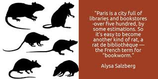 rats a part of life in paris french