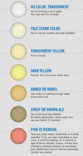 Health Check What Your Pee And Poo Colour Says About Your