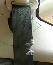 Frayed Rear Seatbelt Honda Service Or