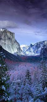 snow forests yosemite scenery 4k iphone