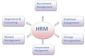 Guest Model HRM Assignment   HND Assignment Help 