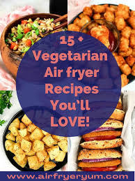 15 vegetarian air fryer recipes air