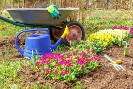 Flowerbed And Gardener Equipment