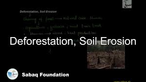 deforestation soil erosion biology