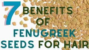 7 benefits of fenugreek seeds methi
