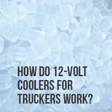 best 12 volt coolers for truckers
