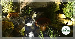 Create Dazzling Visual Effects With Led Pond Lighting