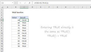 how to use the excel true function
