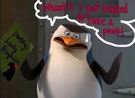 Deviantart is the world's largest online social community for the penguins of madagascar (skipper, private, kowalski and rico) belongs to dreamworks. Penguins Of Madagascar Skipper Quotes Quotesgram
