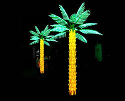 Palm Trees For Outdoor Decoration