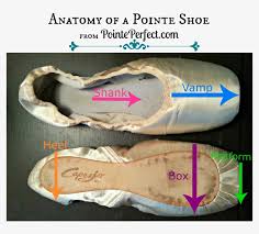 Anatomy Of A Pointe Shoe Bloch Pointe Shoes Size Chart