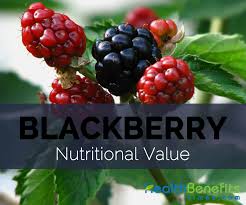 blackberry nutritional value and dv
