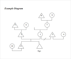 Sample Kinship Diagram Template 9 Free Documents In Pdf Word