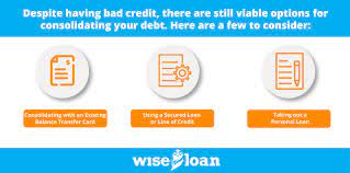 Wise Loan gambar png