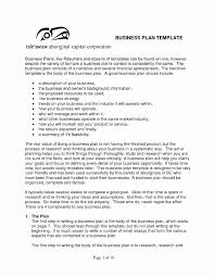  business plan best examples proposal lovely how to start essay 007 business plan best examples proposal lovely how to start essay cover letter for