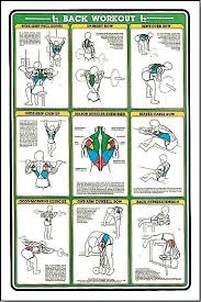 30 Inquisitive Lower Back Workout Chart