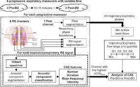 Flow Chart Of The Proposed Respiratory Sound Recording And