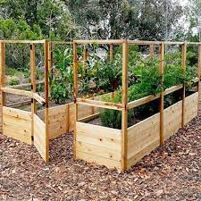 Garden In A Box Greenhouse Mega