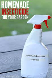 how to make homemade insecticide all