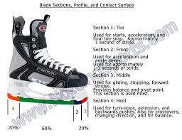 Skate Profiling And Radius High Top Sneakers Sneakers