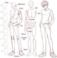 How to draw male anime manga characters from basic shapes. Drawing Body Male Anatomy Sketch 15 Ideas Anime Drawings Tutorials Body Drawing Tutorial Anatomy Drawing