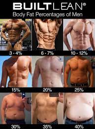 what body fat percenes actually look
