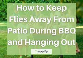Keep Flies Away From Patio During Bbq