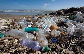 حشرة تلتهم البلاستيك تحيي آمال مكافحة تلوث المحيطات – موقع قناة المنار – لبنان