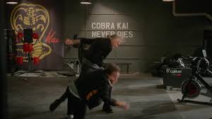 century martial arts supply in cobra