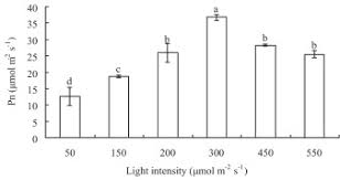 light intensity on the growth