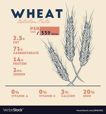 Health Benefits Of Wheat Nutrition Facts