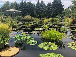 visit denver botanic gardens with me