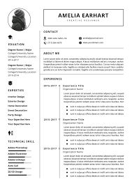 010 Professional Resume Templates Word Free Download