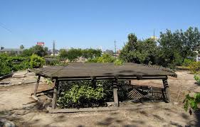 forestiere underground gardens central