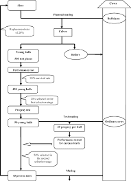 Flow Chart Showing The Breeding Plan Simulated For The