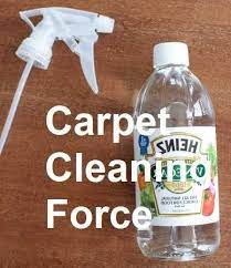 how can i make a homemade carpet cleaner
