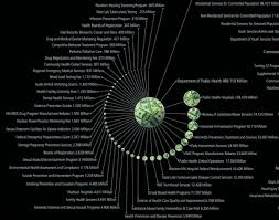 The 2011 Massachusetts Budget Infographic Poster Cool