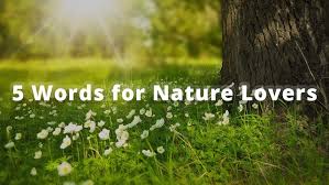 5 Words For Nature Lovers Green Activist Nepalbuzz