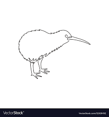little kiwi bird vector image