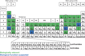 the periodic table of elements and