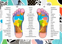 Vitaflex Chart Plexus Products Foot Reflexology Foot Massage