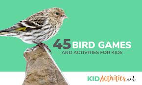 45 Fun Bird Games And Activities For Kids The Best Bird