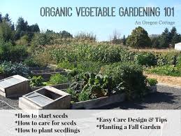 organic vegetable gardening 101 an