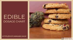 Edible Dosage Chart Quick And Easy Guide To Taking Weed
