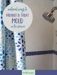 Homemade Mold Prevention Spray Tips