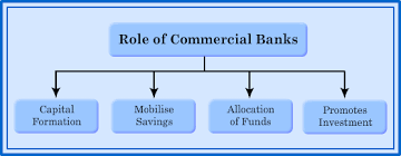 Commercial Banks, Studymaterial: Cpt Cpt GENERAL ECONOMICS, Indian Economic  Development - Meritnation